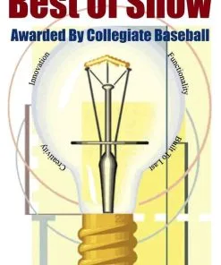 SWINGRAIL Swing Training Aid -Baseball Bats sales SWR 100 7